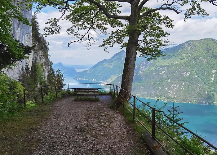 Solohike Mountainview